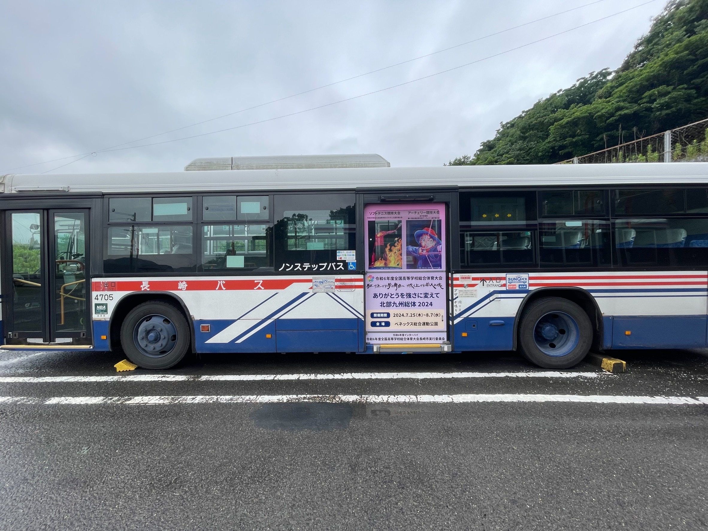 シースルー縦型ラッピング